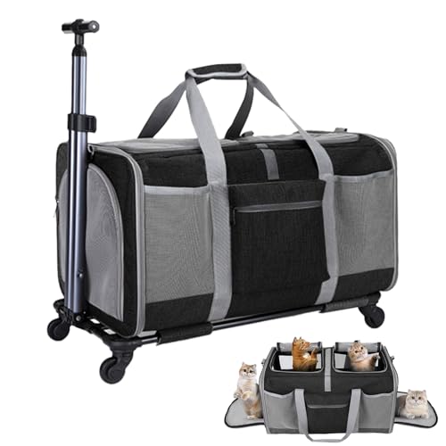 Katzentransporttasche, atmungsaktiv, mit zwei Fächern und abnehmbaren Rädern, faltbar mit Griff für Hund und Katze, 40 x 35 x 60 cm Katzentransporttasche, atmungsaktiv, mit zwei Fächern und abnehmbaren Rädern, faltbar mit Griff für Hund und Katze, 40 x 35 x 60 cm von Zorive
