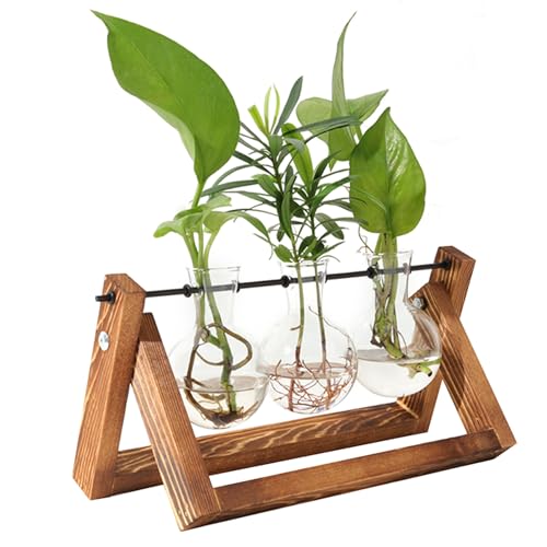 Zorpupoa Pflanzenanzuchtstation, Pflanzenterrarium mit Holzständer, Tisch-Glas-Pflanzgefäß, Desktop-Pflanzgefäß, Anzuchtvase mit Metall-Drehhalterung für Hydrokultur-Pflanzen - 3 Zwiebelvasen von Zorpupoa