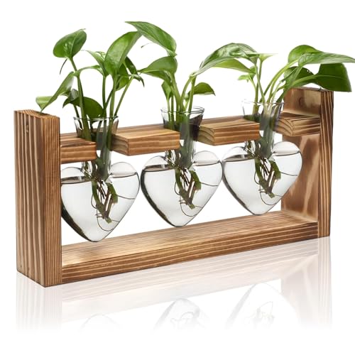 Zorpupoa Pflanzenanzuchtstation, Pflanzenterrarium mit Holzständer, Tischplatte Glas Pflanzgefäß Desktop Pflanzen Anzuchtvase für Hydrokulturpflanzen - 3 herzförmige Vasen von Zorpupoa