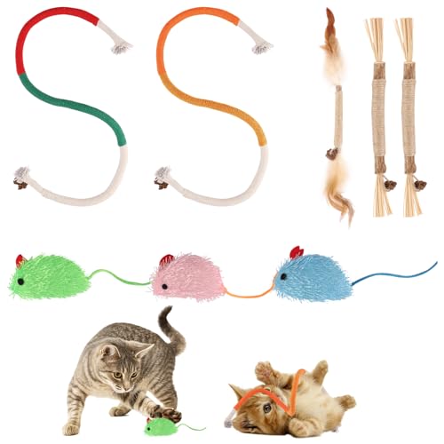 Zosenyer 8 Stück Katzenspielzeug, Katzenminze Spielzeug Inklusive 3 Katzen Kauhölzer Sticks, 2 Katzenbeißseil und 3 Katzenminze Plüsch Maus, Kauspielzeug Katze für Interaktive und Katzen Zahnpflege Zosenyer 8 Stück Katzenspielzeug, Katzenminze Spielzeug Inklusive 3 Katzen Kauhölzer Sticks, 2 Katzenbeißseil und 3 Katzenminze Plüsch Maus, Kauspielzeug Katze für Interaktive und Katzen Zahnpflege von Zosenyer