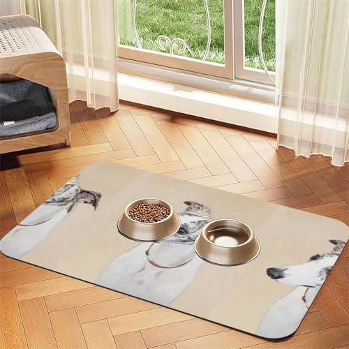 Berner Sennenhund,wasserdichte Futtermatte für Haustiere, Tischsets für Katzen und Hunde für Futter und Wasser, Futtermatten aus PU-Leder,40x60cm Berner Sennenhund,wasserdichte Futtermatte für Haustiere, Tischsets für Katzen und Hunde für Futter und Wasser, Futtermatten aus PU-Leder,40x60cm von Zouey