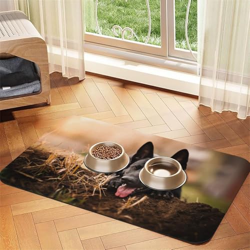Cocker Spaniel,wasserdichte Futtermatte für Haustiere, Tischsets für Katzen und Hunde für Futter und Wasser, Futtermatten aus PU-Leder,40x60cm Cocker Spaniel,wasserdichte Futtermatte für Haustiere, Tischsets für Katzen und Hunde für Futter und Wasser, Futtermatten aus PU-Leder,40x60cm von Zouey