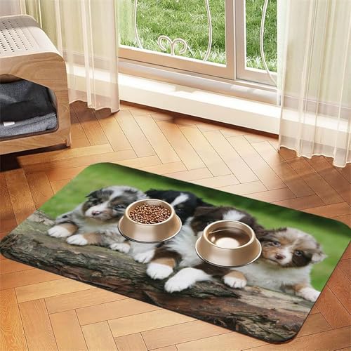 Dackel,wasserdichte Futtermatte für Haustiere, Tischsets für Katzen und Hunde für Futter und Wasser, Futtermatten aus PU-Leder,40x60cm Dackel,wasserdichte Futtermatte für Haustiere, Tischsets für Katzen und Hunde für Futter und Wasser, Futtermatten aus PU-Leder,40x60cm von Zouey