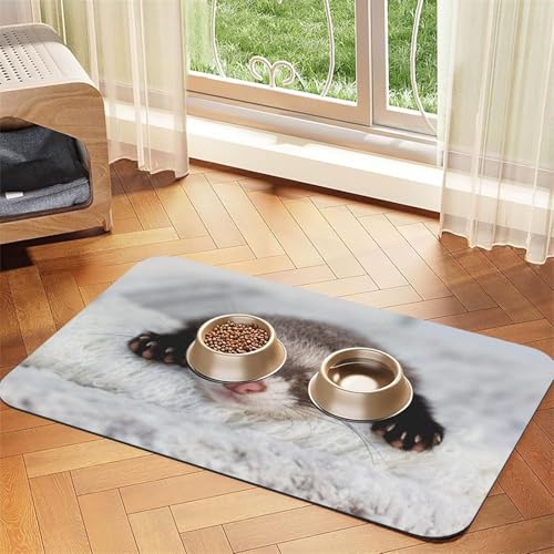 Das süße Frettchen schläft,wasserdichte Futtermatte für Haustiere, Tischsets für Katzen und Hunde für Futter und Wasser, Futtermatten aus PU-Leder,40x60cm Das süße Frettchen schläft,wasserdichte Futtermatte für Haustiere, Tischsets für Katzen und Hunde für Futter und Wasser, Futtermatten aus PU-Leder,40x60cm von Zouey