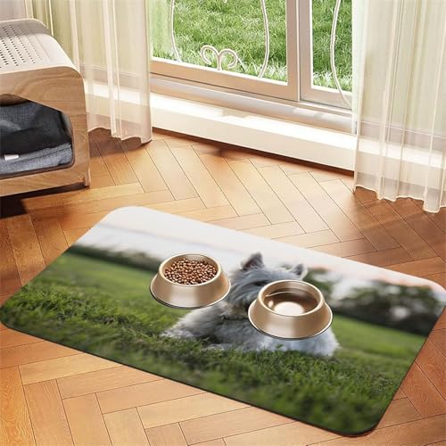 Jack Russell Hundespielzeug Jack Russells Hundeliebhaber Hund,wasserdichte Futtermatte für Haustiere, Tischsets für Katzen und Hunde für Futter und Wasser, Futtermatten aus PU-Leder,40x60cm Jack Russell Hundespielzeug Jack Russells Hundeliebhaber Hund,wasserdichte Futtermatte für Haustiere, Tischsets für Katzen und Hunde für Futter und Wasser, Futtermatten aus PU-Leder,40x60cm von Zouey