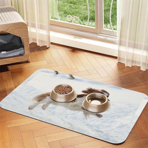 Karikatur, Von, Tomate, Blätter, Muster,wasserdichte Futtermatte für Haustiere, Tischsets für Katzen und Hunde für Futter und Wasser, Futtermatten aus PU-Leder,40x60cm Karikatur, Von, Tomate, Blätter, Muster,wasserdichte Futtermatte für Haustiere, Tischsets für Katzen und Hunde für Futter und Wasser, Futtermatten aus PU-Leder,40x60cm von Zouey