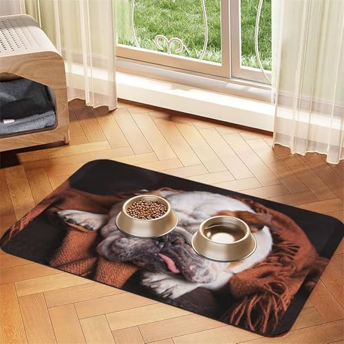 Orange,wasserdichte Futtermatte für Haustiere, Tischsets für Katzen und Hunde für Futter und Wasser, Futtermatten aus PU-Leder,40x60cm Orange,wasserdichte Futtermatte für Haustiere, Tischsets für Katzen und Hunde für Futter und Wasser, Futtermatten aus PU-Leder,40x60cm von Zouey