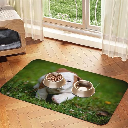 Pasta-Käse-Lebensmittelmuster,wasserdichte Futtermatte für Haustiere, Tischsets für Katzen und Hunde für Futter und Wasser, Futtermatten aus PU-Leder,40x60cm Pasta-Käse-Lebensmittelmuster,wasserdichte Futtermatte für Haustiere, Tischsets für Katzen und Hunde für Futter und Wasser, Futtermatten aus PU-Leder,40x60cm von Zouey