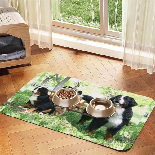 Shabby Chic Blumenmuster Rosa Blassrosa Weiß,wasserdichte Futtermatte für Haustiere, Tischsets für Katzen und Hunde für Futter und Wasser, Futtermatten aus PU-Leder,40x60cm von Zouey
