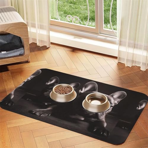Süße Eule,wasserdichte Futtermatte für Haustiere, Tischsets für Katzen und Hunde für Futter und Wasser, Futtermatten aus PU-Leder,40x60cm Süße Eule,wasserdichte Futtermatte für Haustiere, Tischsets für Katzen und Hunde für Futter und Wasser, Futtermatten aus PU-Leder,40x60cm von Zouey
