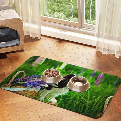 Süße Süßigkeiten,wasserdichte Futtermatte für Haustiere, Tischsets für Katzen und Hunde für Futter und Wasser, Futtermatten aus PU-Leder,40x60cm Süße Süßigkeiten,wasserdichte Futtermatte für Haustiere, Tischsets für Katzen und Hunde für Futter und Wasser, Futtermatten aus PU-Leder,40x60cm von Zouey