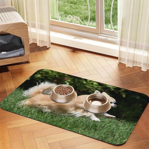 Weißer Blauer Marmordruck,wasserdichte Futtermatte für Haustiere, Tischsets für Katzen und Hunde für Futter und Wasser, Futtermatten aus PU-Leder,40x60cm Weißer Blauer Marmordruck,wasserdichte Futtermatte für Haustiere, Tischsets für Katzen und Hunde für Futter und Wasser, Futtermatten aus PU-Leder,40x60cm von Zouey