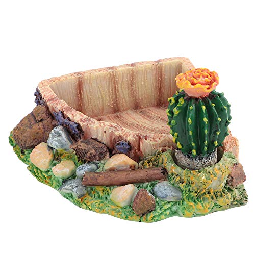 Zouminyy mit Cactus Feeding Bowl, praktisch exquisitem Aussehen Feeding Bowl, Schildkröte Eidechse für Reptilien von Zouminyy