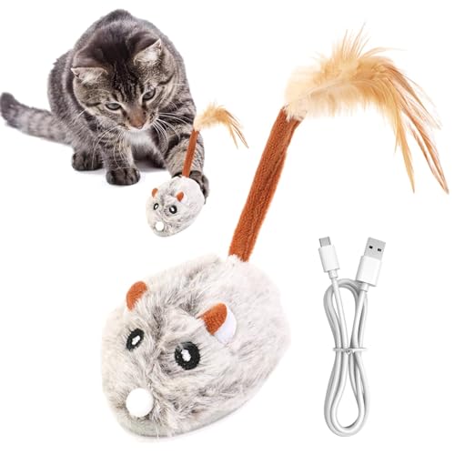 Katzen-Mäuse-Spielzeug, interaktives Katzen-Kauspielzeug, realistisches Spielzeug, Katzen-Teaser-Zauberstab-Set, Kätzchen-Puzzle-Spielzeug, lustiges Übungs-Katzenspielzeug, Indoor-Katzenspielzeug, Katzen-Mäuse-Spielzeug, interaktives Katzen-Kauspielzeug, realistisches Spielzeug, Katzen-Teaser-Zauberstab-Set, Kätzchen-Puzzle-Spielzeug, lustiges Übungs-Katzenspielzeug, Indoor-Katzenspielzeug, von Zqkimzi