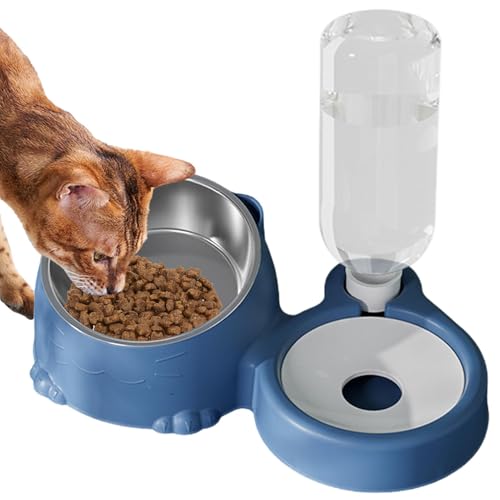 Katzenfutter und Wassernapf Set | Futterfütterung Neigbare Schalen für Welpen | Katze Edelstahl Futternapf und Automatischer Wasserspender mit großer Kapazität für Haustiere Hunde Welpen Kätzchen von Zqkimzi