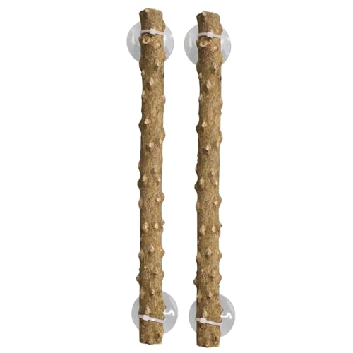 Reptile Corner Climbing Branch, Lizard Climbing Pole, Climbing Branches for Reptiles, Snake Climbing Accessories, Bearded Dragon Habitat Decor, Lizard Climbing Pole Set for Improving Reptile Habitats Reptile Corner Climbing Branch, Lizard Climbing Pole, Climbing Branches for Reptiles, Snake Climbing Accessories, Bearded Dragon Habitat Decor, Lizard Climbing Pole Set for Improving Reptile Habitats von Zqkimzi