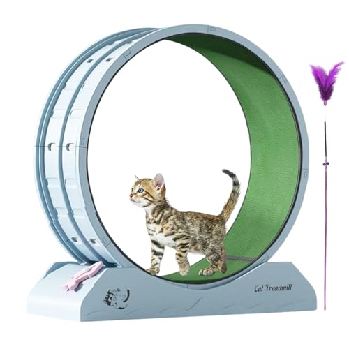 Running Wheel, Weight Loss Exercise Treadmill, Anti-Fall Fitness Wheel with Teaser Toy, Sturdy Quiet Workout Equipment for Indoor Kittens and Cats,80.01x33.4x85.98 cm Running Wheel, Weight Loss Exercise Treadmill, Anti-Fall Fitness Wheel with Teaser Toy, Sturdy Quiet Workout Equipment for Indoor Kittens and Cats,80.01x33.4x85.98 cm von Zqkimzi