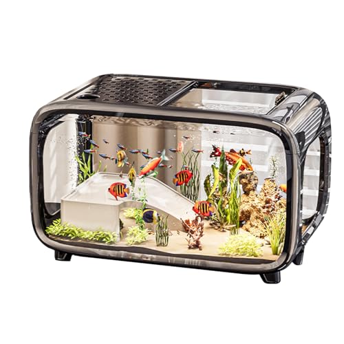 Zqkimzi Kleines Aquarium | Aquarium Landschaft Fischglas,Klarer Lebensraum Behälter Für Aquatische Tiere Wie Schnecken Schildkröten Und Kampffische Mit Platz Für Zqkimzi Kleines Aquarium | Aquarium Landschaft Fischglas,Klarer Lebensraum Behälter Für Aquatische Tiere Wie Schnecken Schildkröten Und Kampffische Mit Platz Für von Zqkimzi