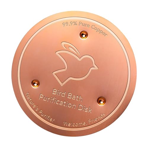 Zqxnt 2. Dreifachpunkt Kupferscheibe Für Vogelbäder Dicke Metalldesign Verlängert Die Frische Miniminieren Sie Die Wartung. von Zqxnt