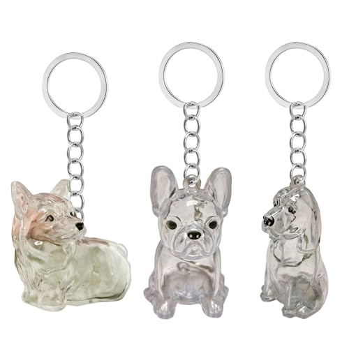 Zqxnt Clear Pet Hair Memorial Storage Box Keepsakes Keychain Für Hundeliebhaber Pet Furs Kollektor Schlüsselbundzubehör Geschenk Pelze Speicherspeicherbox von Zqxnt