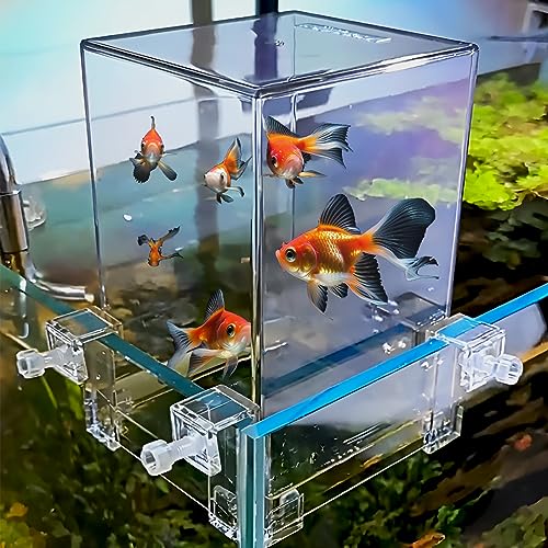 Zstar Acryl Unterdruck Fischturm, Fischsäule Acryl Unterdruck Fischturm Luftverlängerungs Aquarium Vakuum-aufgehängtes Aquarium für die ökologische Landschaftsgestaltung, Bequeme Beobachtung Zstar Acryl Unterdruck Fischturm, Fischsäule Acryl Unterdruck Fischturm Luftverlängerungs Aquarium Vakuum-aufgehängtes Aquarium für die ökologische Landschaftsgestaltung, Bequeme Beobachtung von Zstar