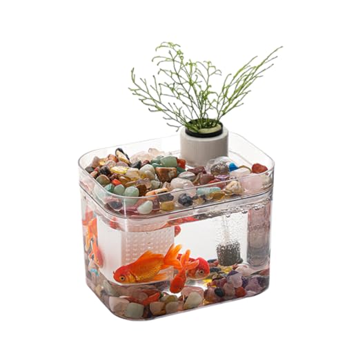 Zstar Aquarium Komplett Set, Aquaristik Kleines Transparentes Aquarium mit USB-Luftpumpe, Desktop-Dekor Fischzuchtbox Fischgläser für Wohnzimmer, Home, Office,A von Zstar