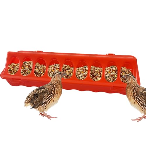 Zuasdvnk Hühnerfutterspender | Geflügelfutterautomat Ohne Verschwendung - Futterwanne Mit Löchern Für Enten Wachteln Tauben Innen- Und Außenbereich von Zuasdvnk