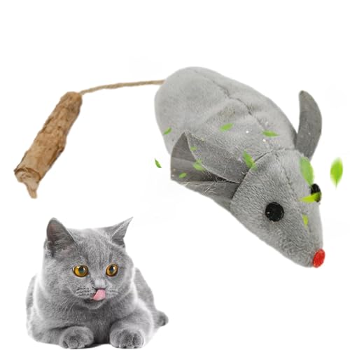 Zuasdvnk Katzenminze-Spielzeug, weiche Katzenminze, Kauspielzeug, wiederverwendbar, interaktives Katzenminze-Spielzeug für mittelgroße und kleine Katzen Zuasdvnk Katzenminze-Spielzeug, weiche Katzenminze, Kauspielzeug, wiederverwendbar, interaktives Katzenminze-Spielzeug für mittelgroße und kleine Katzen von Zuasdvnk