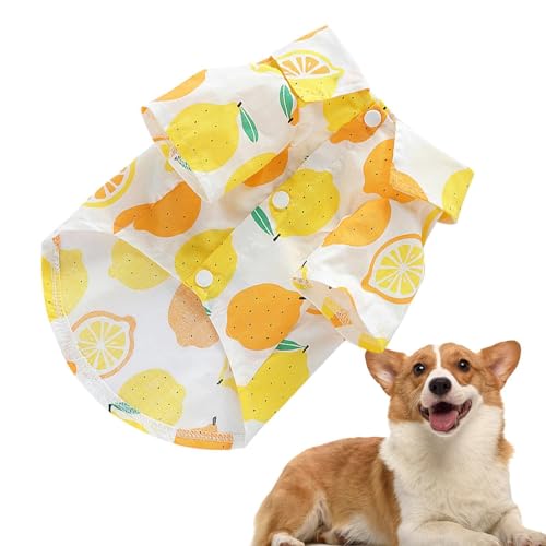 Zuasdvnk Sommer-Hunde-Shirt, atmungsaktive Hundebekleidung, Obstdruck, Welpenanzug, Haustier-T-Shirt, weiche Haustierbekleidung, Hunde-Shirt für Welpen Zuasdvnk Sommer-Hunde-Shirt, atmungsaktive Hundebekleidung, Obstdruck, Welpenanzug, Haustier-T-Shirt, weiche Haustierbekleidung, Hunde-Shirt für Welpen von Zuasdvnk