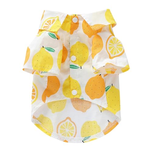Zuasdvnk Sommer-Hundekleidung – atmungsaktives Welpenoutfit | Hundebekleidung mit Fruchtdruck, Haustier-T-Shirt, weiches Hunde-Shirt, Haustierbekleidung für kleine und mittelgroße Hunde Zuasdvnk Sommer-Hundekleidung – atmungsaktives Welpenoutfit | Hundebekleidung mit Fruchtdruck, Haustier-T-Shirt, weiches Hunde-Shirt, Haustierbekleidung für kleine und mittelgroße Hunde von Zuasdvnk
