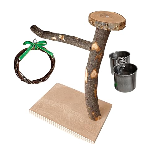 Zuasdvnk Vogel-Stehspielzeug, Vogel-Ständer | käfig-Ständer aus | Raues Oberflächen-Design, Kletterspielzeug für Turteltauben, Sittiche, mittelgroße, Wellensittiche, Nymphensittiche Zuasdvnk Vogel-Stehspielzeug, Vogel-Ständer | käfig-Ständer aus | Raues Oberflächen-Design, Kletterspielzeug für Turteltauben, Sittiche, mittelgroße, Wellensittiche, Nymphensittiche von Zuasdvnk