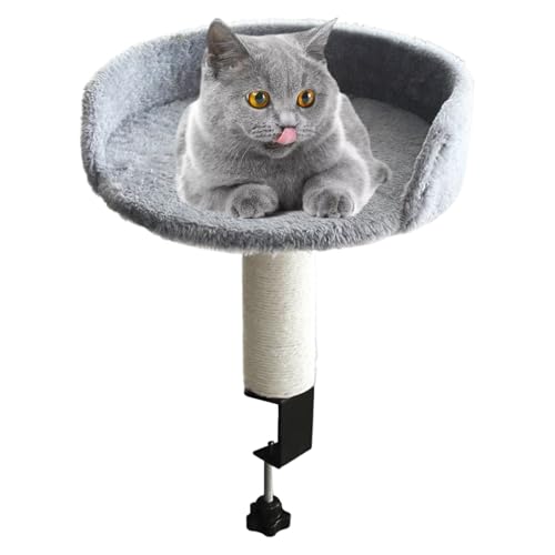 Zubehors Schreibtischmontiertes Katzenbett Entfernbar - Katzenbett Für Schreibtisch Befestigung | Weiche Nestauflage Befestigung Für Haustiere Geeignet Für Den Innenbereich Wie Wohnzimmer Schlafzimmer Zubehors Schreibtischmontiertes Katzenbett Entfernbar - Katzenbett Für Schreibtisch Befestigung | Weiche Nestauflage Befestigung Für Haustiere Geeignet Für Den Innenbereich Wie Wohnzimmer Schlafzimmer von Zubehors