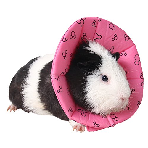 ZuckerTi Halskrause Halskragen Schutzkragen Wundheilung Hundehalsband Cone Schutz Smart Halsband Sicherheit für Kleintiere Eichhörnchen Meerschweinchen Ratte Mäuse Hamster Hase Kanichen kleine ZuckerTi Halskrause Halskragen Schutzkragen Wundheilung Hundehalsband Cone Schutz Smart Halsband Sicherheit für Kleintiere Eichhörnchen Meerschweinchen Ratte Mäuse Hamster Hase Kanichen kleine von ZuckerTi