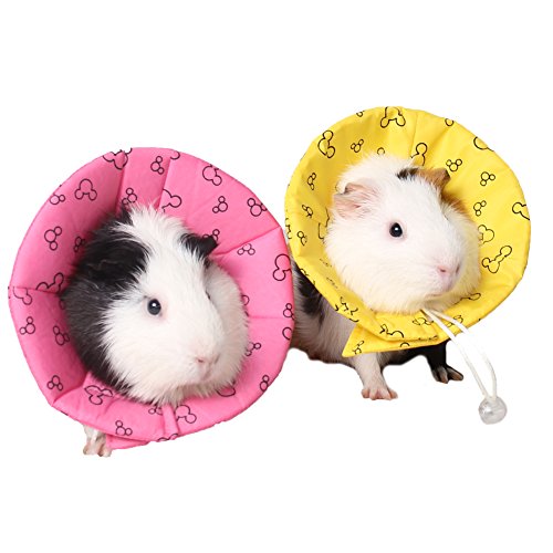 ZuckerTi Halskrause Halskragen Schutzkragen Wundheilung Hundehalsband Cone Schutz Smart Halsband Sicherheit für Kleintiere Eichhörnchen Meerschweinchen Ratte Mäuse Hamster Hase Kanichen kleine ZuckerTi Halskrause Halskragen Schutzkragen Wundheilung Hundehalsband Cone Schutz Smart Halsband Sicherheit für Kleintiere Eichhörnchen Meerschweinchen Ratte Mäuse Hamster Hase Kanichen kleine von ZuckerTi
