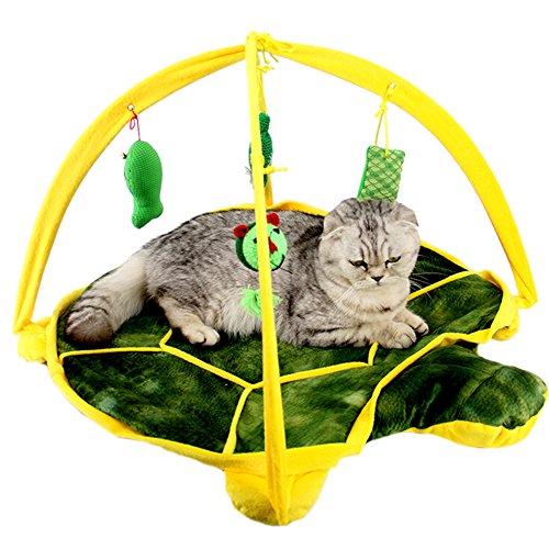 ZuckerTi Neues Katzenbett Katzenzelt Katzenkissen Tierkorb Tierbett Katzen Kitten Interaktives Katzenspielzeug Box mit individuelle Spielzeuge Katze Toys ZuckerTi Neues Katzenbett Katzenzelt Katzenkissen Tierkorb Tierbett Katzen Kitten Interaktives Katzenspielzeug Box mit individuelle Spielzeuge Katze Toys von ZuckerTi