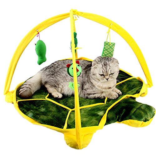 ZuckerTi Neues Katzenbett Katzenzelt Katzenkissen Tierkorb Tierbett Katzen Kitten Interaktives Katzenspielzeug Box mit individuelle Spielzeuge Katze Toys von ZuckerTi