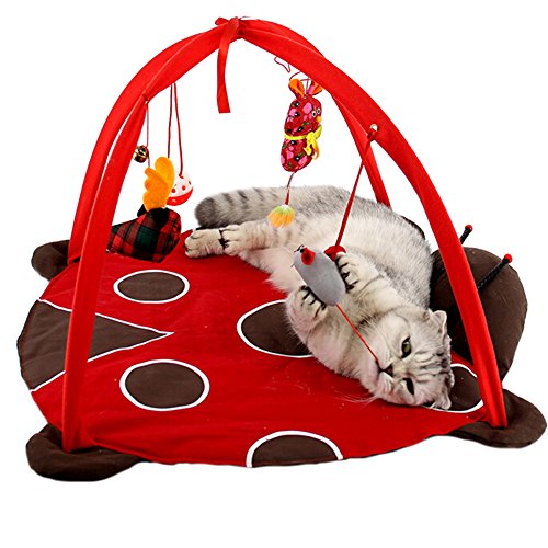 ZuckerTi Neues Katzenbett Katzenzelt Katzenkissen Tierkorb Tierbett Katzen Kitten Interaktives Katzenspielzeug Box mit individuelle Spielzeuge Katze Toys ZuckerTi Neues Katzenbett Katzenzelt Katzenkissen Tierkorb Tierbett Katzen Kitten Interaktives Katzenspielzeug Box mit individuelle Spielzeuge Katze Toys von ZuckerTi