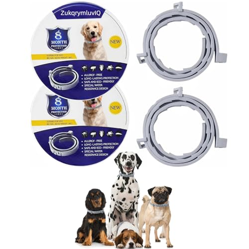 Hundehalsband mit Natürlichen Ölen im 2er-Pack – 16 Monate Schutz, Wasserdicht und Verstellbar – Für Welpen und Hunde ab 7 Wochen – Für anhaltenden Komfort und Sicherheit Hundehalsband mit Natürlichen Ölen im 2er-Pack – 16 Monate Schutz, Wasserdicht und Verstellbar – Für Welpen und Hunde ab 7 Wochen – Für anhaltenden Komfort und Sicherheit von ZukqrymluvIQ