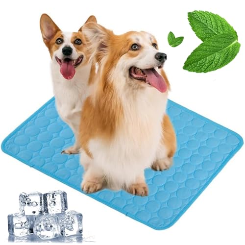 Pfotenfrost Matte für Katzen Hund, 3-Schicht-System Selbstkühlende Kühlmatte Haustier Waschbar, Haustier-Kühlpad für Sommer, Auto, Zuhause & Outdoor (Blau, XXL(150 * 100cm)) von Zumylea