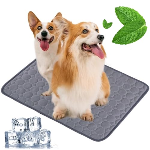 Pfotenfrost Matte für Katzen Hund, 3-Schicht-System Selbstkühlende Kühlmatte Haustier Waschbar, Haustier-Kühlpad für Sommer, Auto, Zuhause & Outdoor (Dunkelgrau, S(50 * 40cm)) von Zumylea