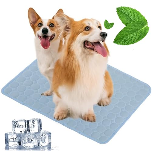 Pfotenfrost Matte für Katzen Hund, 3-Schicht-System Selbstkühlende Kühlmatte Haustier Waschbar, Haustier-Kühlpad für Sommer, Auto, Zuhause & Outdoor (Hellblau, S(50 * 40cm)) von Zumylea