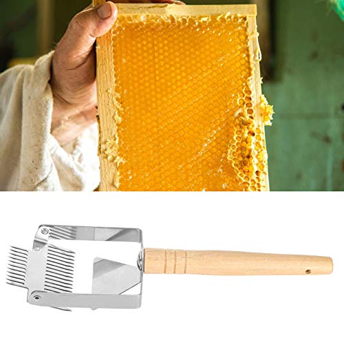 Zunate Honigschaber, 25,5 x 7,5 cm / 10,0 x 3,0 Zoll Bienenstock-Honigschaber, mit Holzgriff, Werkzeug für Imkereigeräte von Zunate