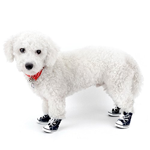 Hundeschuhe aus Jeans-Segeltuch von Zunea, zum Schnüren, Sneakers, für Spaziergänge im Sommer, rutschfest, sportlich, lässig, Pfotenschutz, für Chihuahuas Hundeschuhe aus Jeans-Segeltuch von Zunea, zum Schnüren, Sneakers, für Spaziergänge im Sommer, rutschfest, sportlich, lässig, Pfotenschutz, für Chihuahuas von Zunea