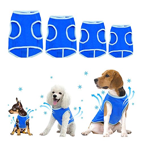 Zunea Kühlweste für kleine mittlere und große Hunde, atmungsaktiv, Kühljacke für den Sommer, weich, Anti-Hitze, Kühlmantel für Aktivitäten draußen, Wandern, Training blau M Zunea Kühlweste für kleine mittlere und große Hunde, atmungsaktiv, Kühljacke für den Sommer, weich, Anti-Hitze, Kühlmantel für Aktivitäten draußen, Wandern, Training blau M von Zunea