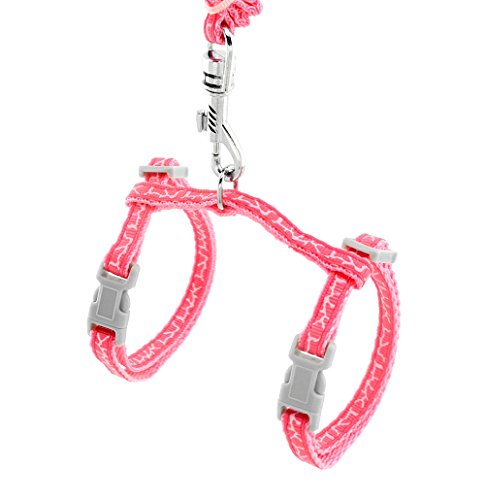ZUNEA Hundehalsband-Leinen-Sets für kleine Hunde und Katzen, strapazierfähiges Nylon, geflochten, mit Giraffenmuster, Rosa von Zunea