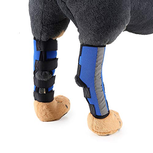 Zunea 2Stück Hund Hunde Hinten Bein Hock Bandage reflektierendem Hinterbein Gelenk schützt Wunden Wrap Kompression Klammer heilt für Wunde Verletzungen und Verstauchung Heilung von Arthritis Blau S Zunea 2Stück Hund Hunde Hinten Bein Hock Bandage reflektierendem Hinterbein Gelenk schützt Wunden Wrap Kompression Klammer heilt für Wunde Verletzungen und Verstauchung Heilung von Arthritis Blau S von Zunea