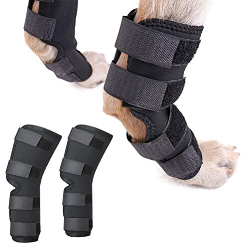 zunea 2Stück Hund Hunde hinten Bein Hock Bandage Hinterbein schützt Wunden Wrap Kompression Klammer heilt für Wunde Verletzungen und Verstauchung Heilung von Arthritis Schwarz S zunea 2Stück Hund Hunde hinten Bein Hock Bandage Hinterbein schützt Wunden Wrap Kompression Klammer heilt für Wunde Verletzungen und Verstauchung Heilung von Arthritis Schwarz S von Zunea