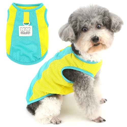 Zunea Atmungsaktives Mesh-Hunde-Shirt für kleine Hunde, weiches Sommer-Welpenweste, Tanktop mit D-Ring-Leinenhaken, Sport-Stil, Pullover, Größe XS/S, Haustierkleidung, T-Shirt, leicht von Zunea