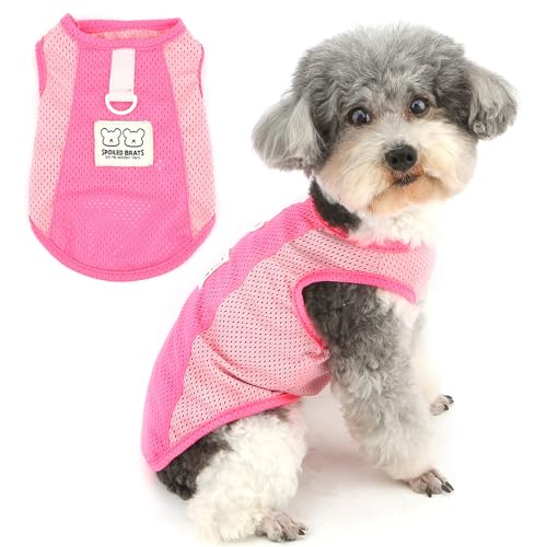 Zunea Atmungsaktives Netz-Hunde-Shirt für kleine Hunde, weiches Sommer-Welpenweste, Tanktop mit D-Ring-Leinenhaken, Sport-Stil, Pullover, Größe XS/S, Haustierkleidung, T-Shirt, leicht Zunea Atmungsaktives Netz-Hunde-Shirt für kleine Hunde, weiches Sommer-Welpenweste, Tanktop mit D-Ring-Leinenhaken, Sport-Stil, Pullover, Größe XS/S, Haustierkleidung, T-Shirt, leicht von Zunea