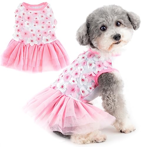 Zunea Blume Spitze Hundekleider für kleine Hunde Mädchen Sommer Prinzessin Kleid Niedlich Floral Welpen Weste Tutu Rock Geburtstag Party Hochzeit Kleid Weich Atmungsaktiv Haustier Hund Katze Zunea Blume Spitze Hundekleider für kleine Hunde Mädchen Sommer Prinzessin Kleid Niedlich Floral Welpen Weste Tutu Rock Geburtstag Party Hochzeit Kleid Weich Atmungsaktiv Haustier Hund Katze von Zunea